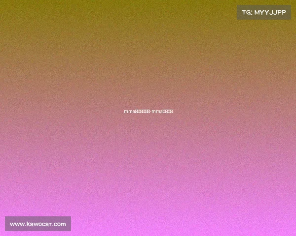 mma的赛事有哪些-mma几大赛事