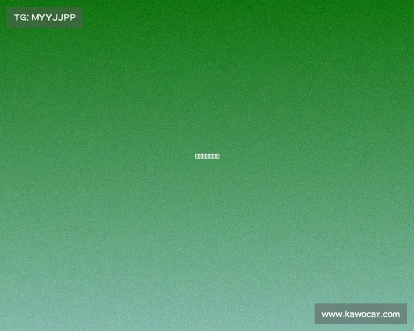 全国青少年体育