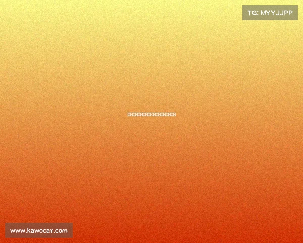 国际金标赛事标准引领全球体育卓越新典范