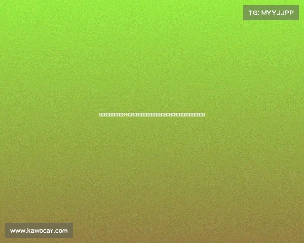 恒大亚冠比赛视频回放-恒大亚冠赛事激情开启：球队奋力拼搏，冲击冠军宝座，展望辉煌未来