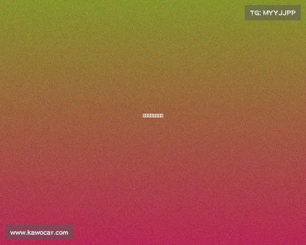 篮球最高赛事排名