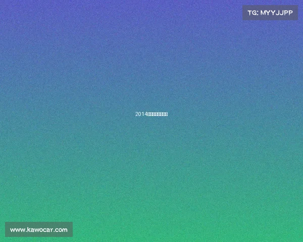 2014年举办过什么赛事