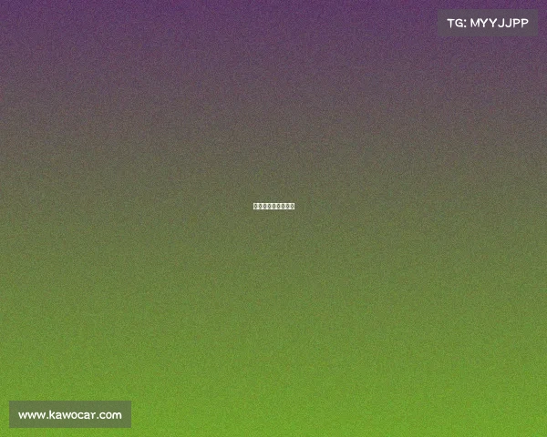 女足最近的比赛结果