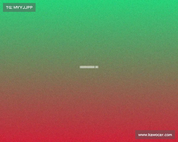 深圳体育赛事球迷深圳 体育