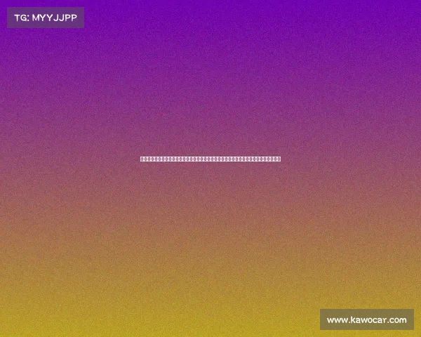 组织马拉松赛事的法律法规、马拉松赛事高效组织全程实战指南教你从策划到执行步骤详解