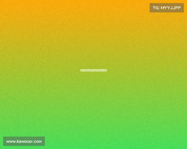 国际篮球最高赛事—国际篮球最高得分