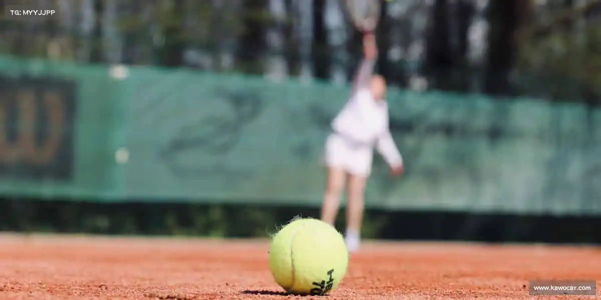 尊龙官方网站官网入口——🎯射箭屏息，精准命中你的热爱🎯